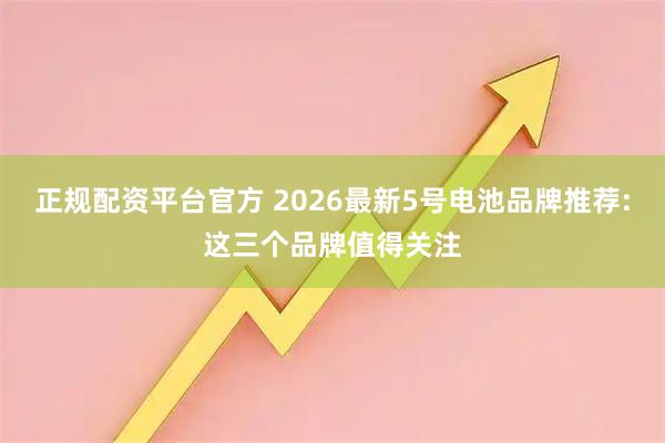 正规配资平台官方 2026最新5号电池品牌推荐:这三个品牌值得关注