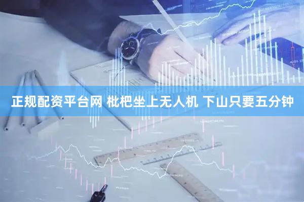 正规配资平台网 枇杷坐上无人机 下山只要五分钟