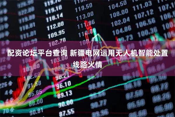 配资论坛平台查询 新疆电网运用无人机智能处置线路火情